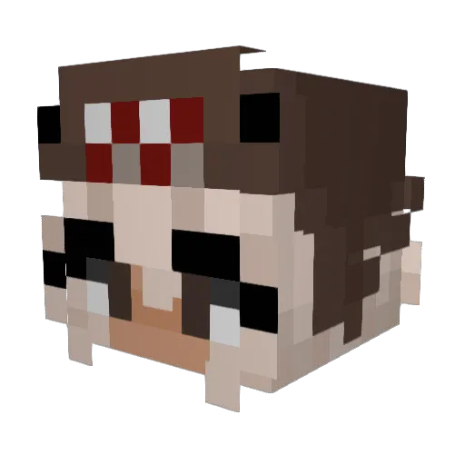 Keiraaaaaaa Minecraft avatar head, 3D render