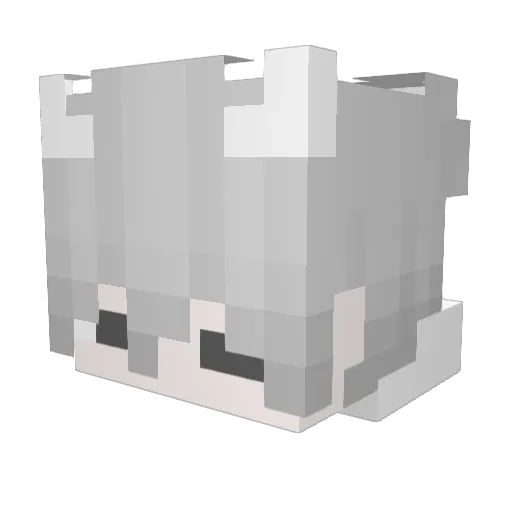 Keisc1 Minecraft avatar head, 3D render