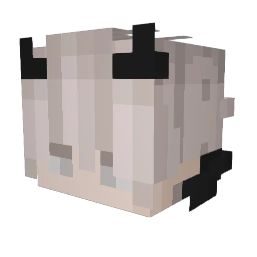Keju_ Minecraft avatar head, 3D render