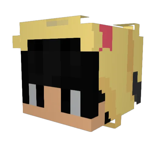 Kekiwi77 Minecraft avatar head, 3D render