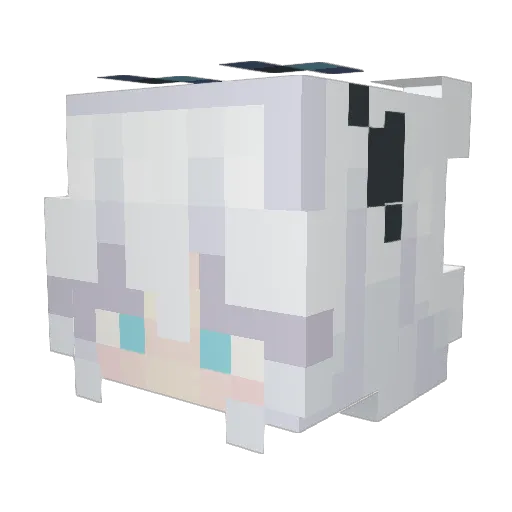 Kelciee123 Minecraft avatar head, 3D render