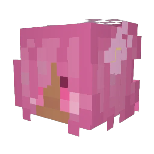KellW Minecraft avatar head, 3D render