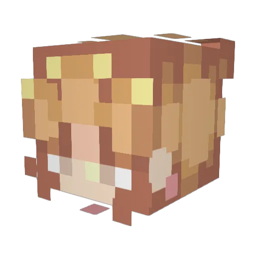 Kellyk123 Minecraft avatar head, 3D render