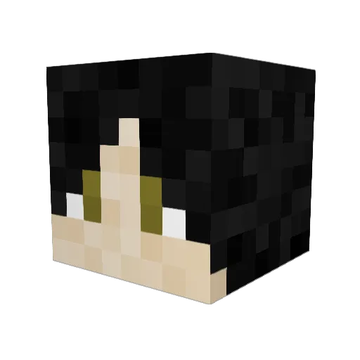 Kelp7 Minecraft avatar head, 3D render