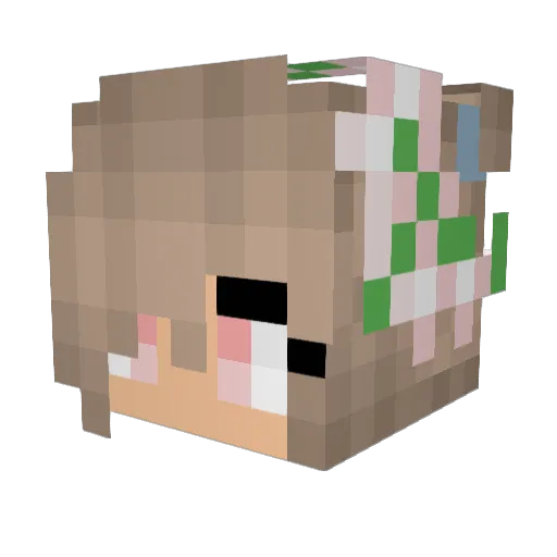 KelpStorm Minecraft avatar head, 3D render