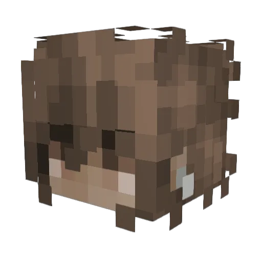 Kelpersz Minecraft avatar head, 3D render
