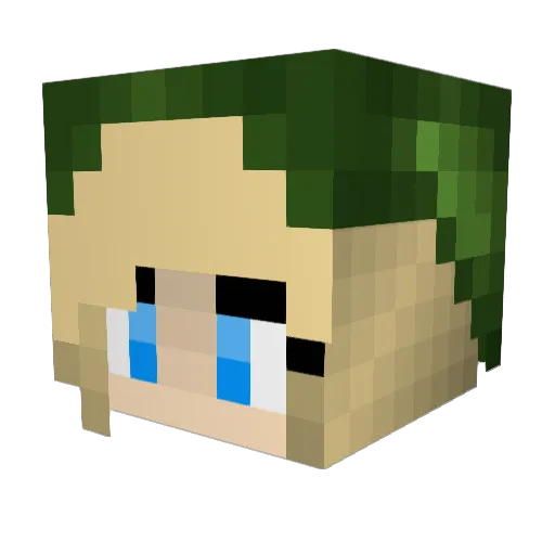 Kels3088 Minecraft avatar head, 3D render