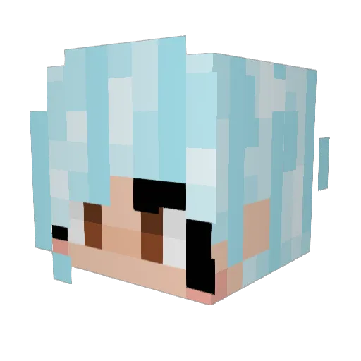 Kels835 Minecraft avatar head, 3D render
