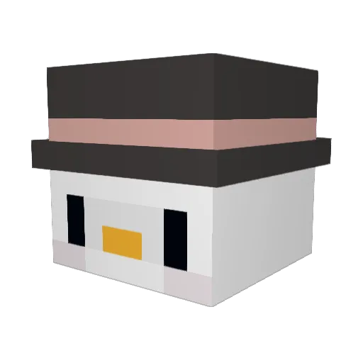 Kelsd012 Minecraft avatar head, 3D render