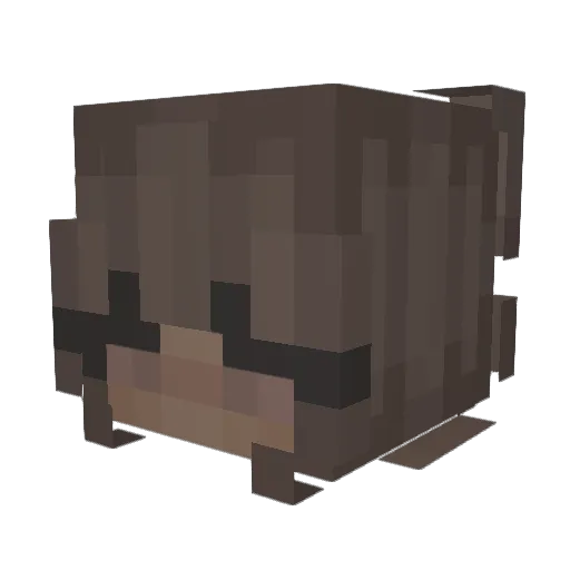 KelseyCrafts Minecraft avatar head, 3D render