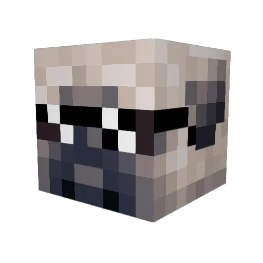 Kelso_22 Minecraft avatar head, 3D render