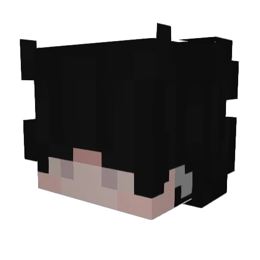 Kelson0428 Minecraft avatar head, 3D render