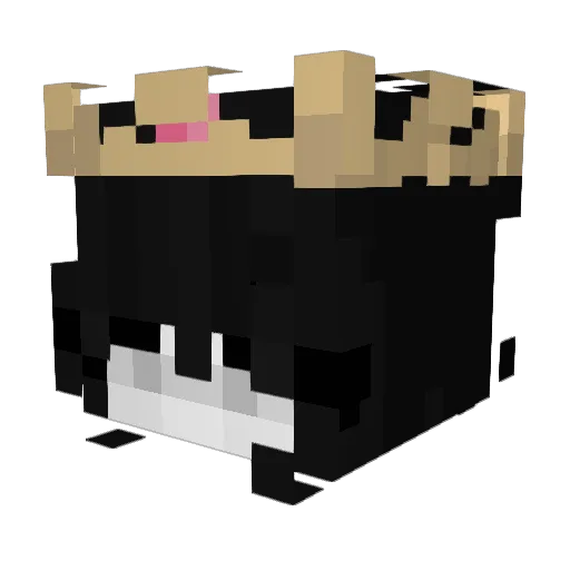 Kelsx_ Minecraft avatar head, 3D render