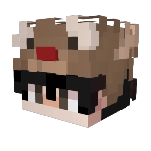 Kelvinator202 Minecraft avatar head, 3D render