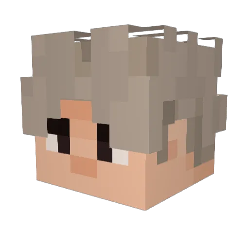 Kem1t Minecraft avatar head, 3D render