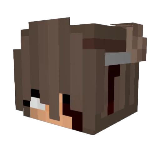 Kemplusha Minecraft avatar head, 3D render