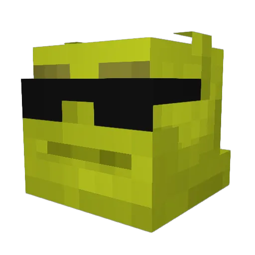 KenSwampers Minecraft avatar head, 3D render