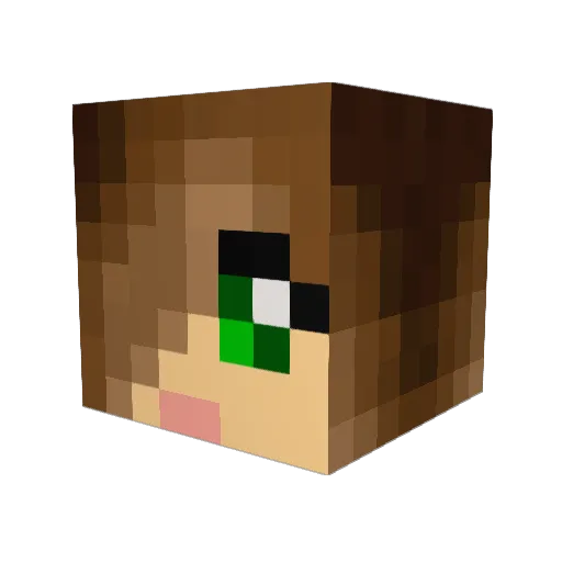 Kenai2004 Minecraft avatar head, 3D render