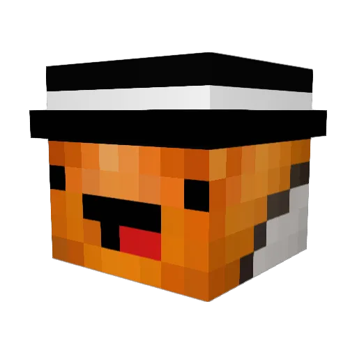 Kendallness Minecraft avatar head, 3D render