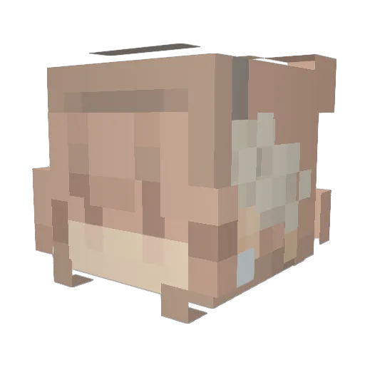 KennaKatt Minecraft avatar head, 3D render