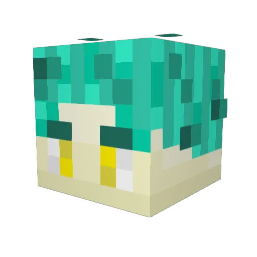 Kennedy224 Minecraft avatar head, 3D render