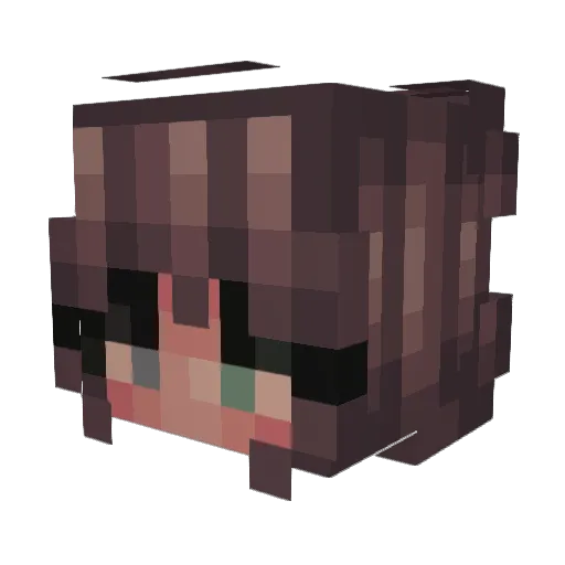 Kennelkake Minecraft avatar head, 3D render