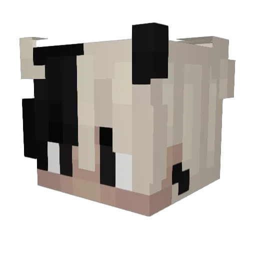 KenshiRL Minecraft avatar head, 3D render