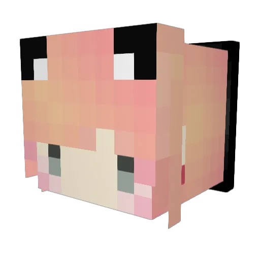 KentSolomon Minecraft avatar head, 3D render