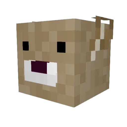 Kentucket Minecraft avatar head, 3D render