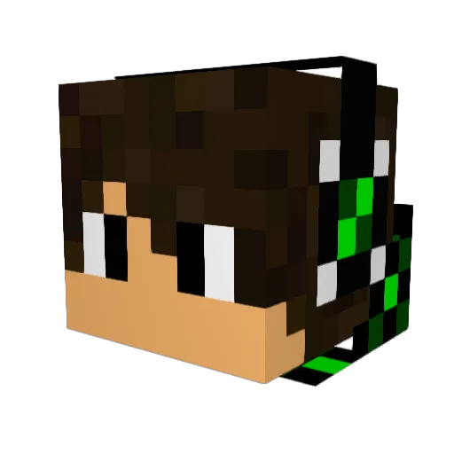 Kentuckybro101 Minecraft avatar head, 3D render