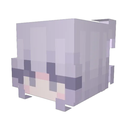Kenzie Minecraft avatar head, 3D render
