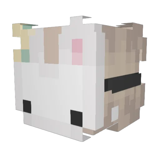 KenzieK41 Minecraft avatar head, 3D render