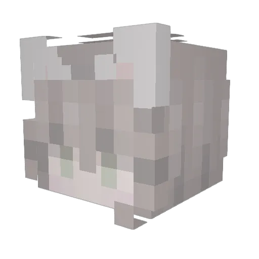 Kenzie_15_ Minecraft avatar head, 3D render