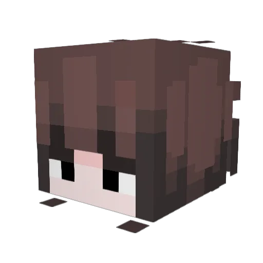 Kenzinton Minecraft avatar head, 3D render