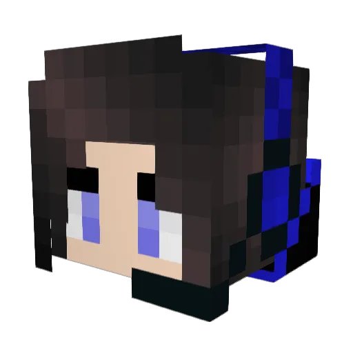Kerali81 Minecraft avatar head, 3D render
