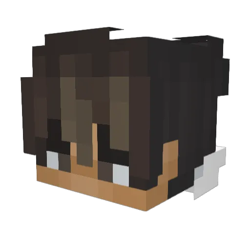 Kerbecx Minecraft avatar head, 3D render