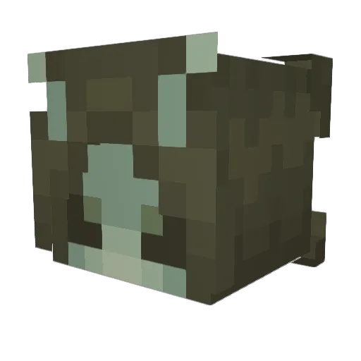 Kerbomh Minecraft avatar head, 3D render