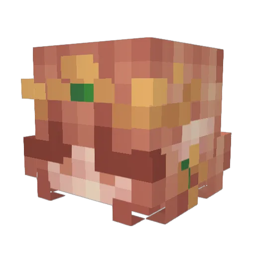 Kerielou Minecraft avatar head, 3D render