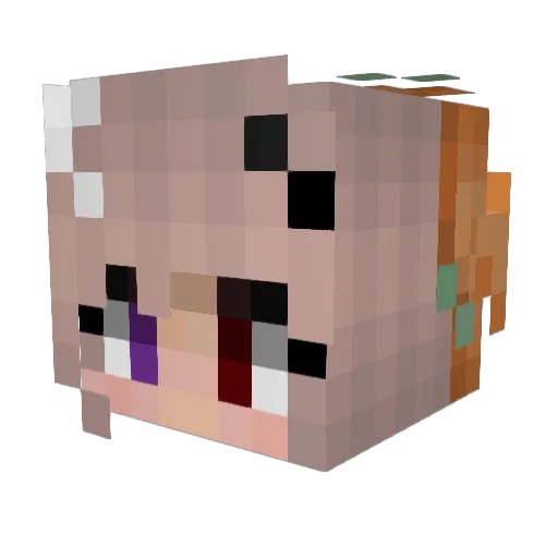 Kerminettaa Minecraft avatar head, 3D render