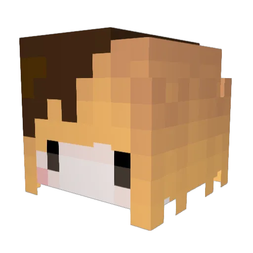 Kermit0127 Minecraft avatar head, 3D render