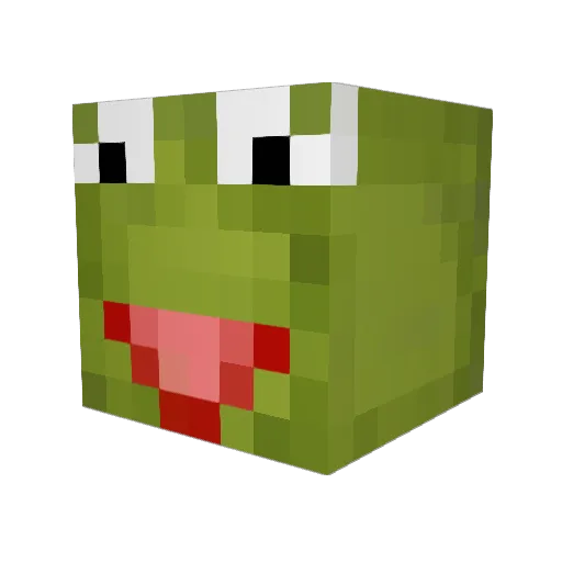 Kermit1103 Minecraft avatar head, 3D render