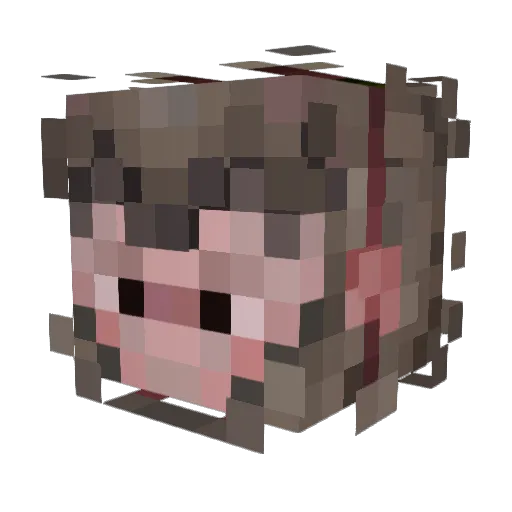 Kermit33413 Minecraft avatar head, 3D render