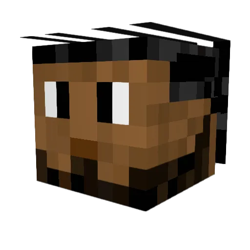 KermitWilts Minecraft avatar head, 3D render