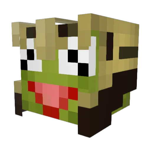 Kermit_The_Fr0g2 Minecraft avatar head, 3D render