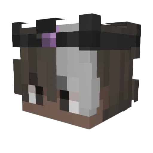 Keroishere Minecraft avatar head, 3D render