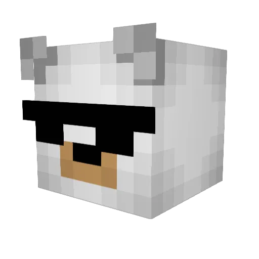 KerryCoakley Minecraft avatar head, 3D render