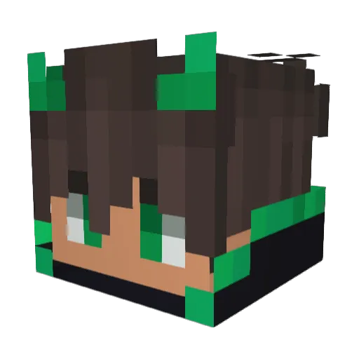 KerrySkates Minecraft avatar head, 3D render