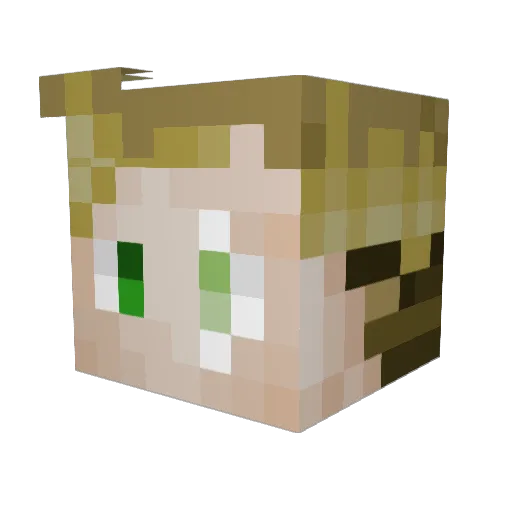Kerstis Minecraft avatar head, 3D render