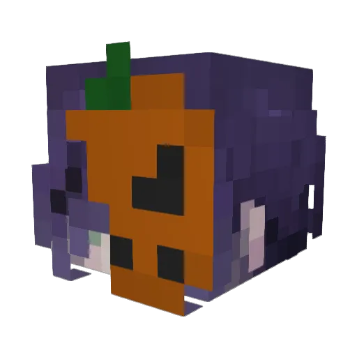 Kertoip11 Minecraft avatar head, 3D render