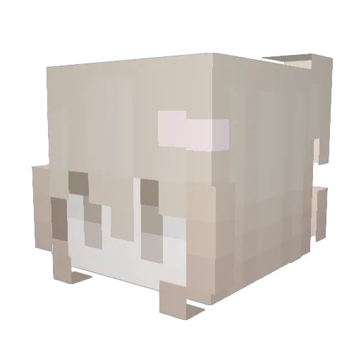 Kessalyn Minecraft avatar head, 3D render
